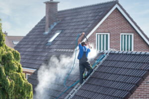 Roof Cleaning Laois